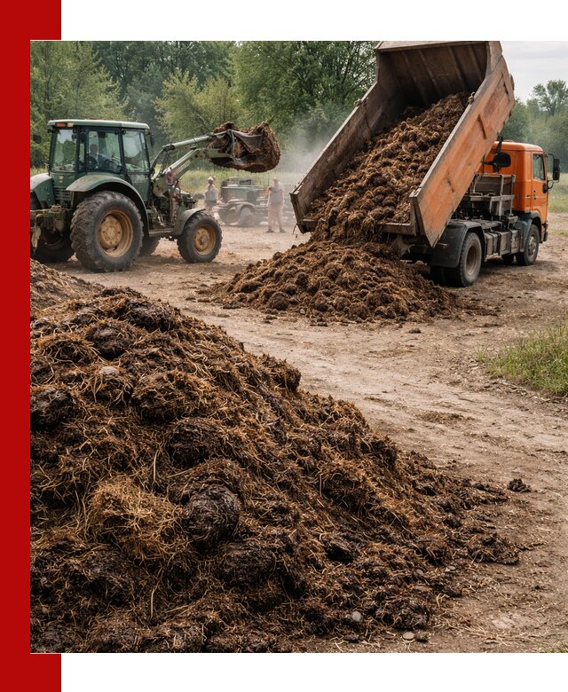 Доставка навоза самосвалами в Хабаровске для сельхозпотребностей